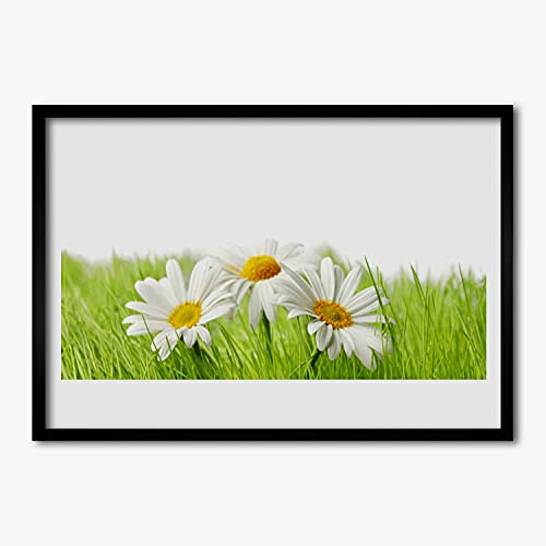 Photo image de marguerite avec cadre en MDF pour illuminer un mur sombre