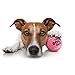 The Little Dog's Balls, Dog Tennis Balls, Pink 6-Pack, Strong Toy for Agility Training, Puppy Training, Play, Exercise & Fetch, 1.9 Inches Diameter