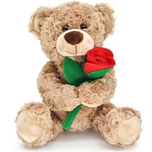 12” Stuffed Teddy Bear Dolls with Rose, Soft Plush Animal Toys for Her/Girlfriend Lover Mom Kids Gifts Home Decor