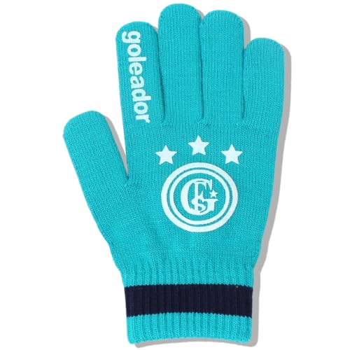 goleador(SAh[) jbgO[u A-111 FTCY (31)^[RCY