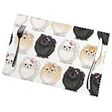 Lot de 6 sets de table à motifs : 45 x 30 cm