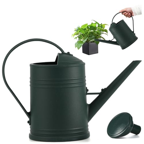 Arrosage de la plante 2L avec long bec et buse amovible pour intérieur - 7