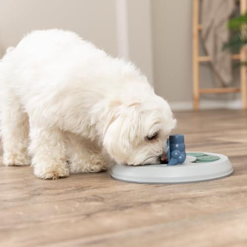 TRIXIE Strategiespiel Flip Board für Hunde, zur Beschäftigung – ø 23 cm