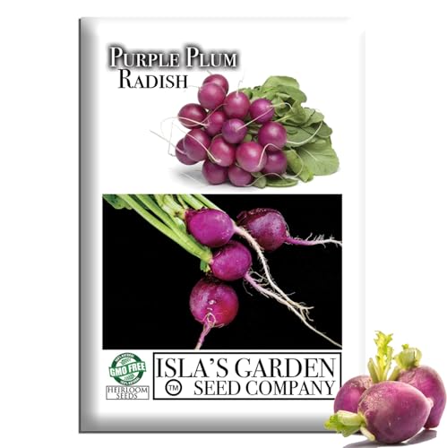 Purple Plum Radish Seeds (Raphanus sativus) – 150+ Heirloom Non-GMO Seeds by Isla’s Garden Seeds, Deep Purple Skin, Crisp White Flesh, Fast Growing, Perfect for Home Gardens