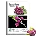 Purple Plum Radish Seeds, 150+ Premium Heirloom Seeds, Fun & Delicious!, (Isla's Garden Seeds), Non GMO Organic, 85-90% Germination Rates, Highest Quality Seeds, 100% Pure