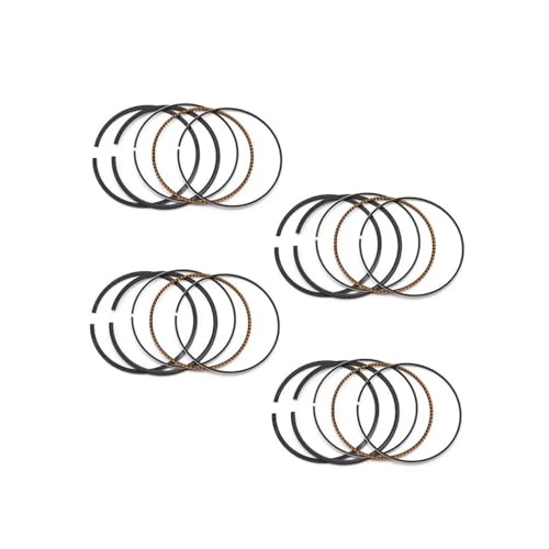 {A+25 48.75mm sXgO CBR250 250 MC14E MC 17 19 22 23 sXgO 4