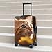 QSMBNET Travel Luggage Cover Cute Cat Spandex Suitcase Protector Washable Baggage Covers Fashion Elastic Scratch-Resistant Luggage Cover Protector Fits 18-32 Inch Luggage