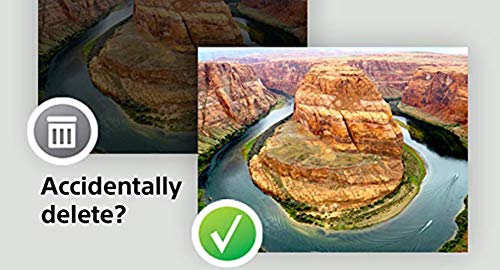 Sony SF E256 SDXC UHS II Classe 10 Neuf - vue 8