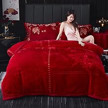 LGYKUMEG Korean Mink Blanket 79" X 91",Luxury Warm Winter Blankets,2 Plyreversible Silky Soft Plush Warm Blanket 9 Lbwinter Blanket,E,200 * 230cm