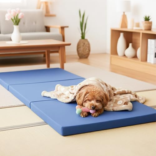 Wellflex }bgX VO 3܂  d 5Nۏ hLR x32D d190N hH t xbhp ~zc xbh}bg ̕Sy 􂦂Jo[ lCr[ 195*97*5CM