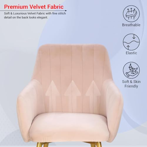 Image of Taboo Velvet Dining Chair | Upholstered Accent Arm Chair | Soft Cushioned Seat with Backrest | Modern Velvet Fabric Chair with Metal Legs | Living Room, Bedroom, Cafe & Restaurant Chair | Baby Pink