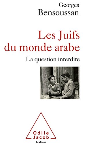 Télécharger Les Juifs du monde arabe: La question interdite (OJ.HISTOIRE) PDF Ebook En Ligne