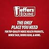 Jeffers Equine Healthy Gut Gastric Support Liquid Digestive Supplement for Horses Prone to Ulcers, Easy to Feed Formula, Supports Gut Comfort & Balanced Digestion 32 oz (32 Day Supply)