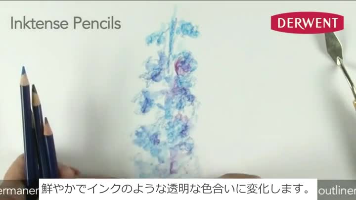 Amazon ダーウェント 水彩 色鉛筆 インクテンス ペンシル 24色セット 布 木目にも描ける 乾いたら耐水性 文房具 オフィス用品 文房具 オフィス用品
