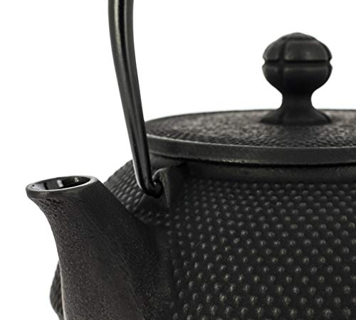 Iwachu Japanese Cast Iron Teapot With Filter And Traditional Design 900 Ml Black #TOP5