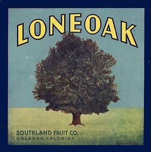 Magnet Orlando Florida Loneoak Tree Orange Citrus Fruit Crate Magnet Print