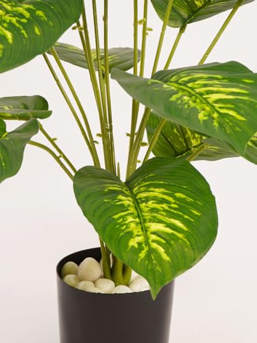 Image of ARICK DECOR 2.1Ft Artificial Dieffenbachia Plant with 18 Leaves, 65cm Tall Faux Variegated Tropical Dumb Cane in Black Pot, Realistic Large Silk Leaf Potted Tree for Home, Office & Interior Styling
