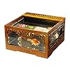 ZHANGJINYISHOP2016 Vis Tank Creatieve Goudvis Tank Ecologische Vis Tank Kantoor Thuis Desktop Decoratie Ornamenten…