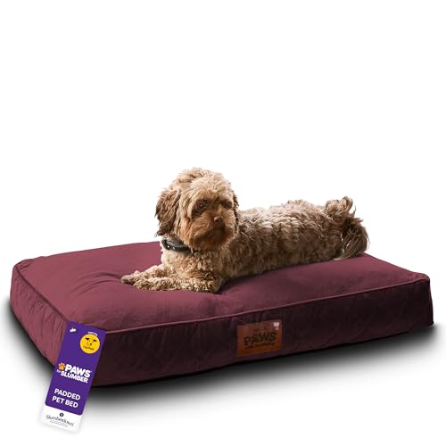 Slumberdown Luxury Padded Dog Bed Medium (60 * 80 * 20cm) - Supportive, Cushioned & Washable Crate Mattress for Puppies, Dogs & Cats | Orthopedic, UK-Made, Non-Slip Base, Burgundy
