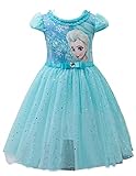 Eyekepper Kids Children Girls Cartoon Elsa Princess Cosplay Mesh Bubble Dress