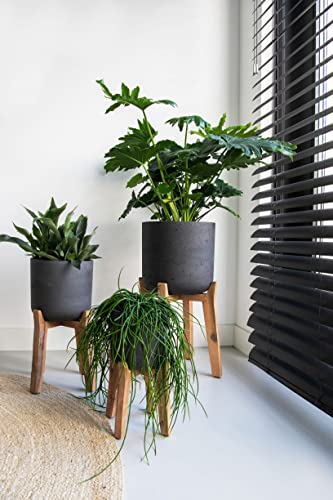 Finestgreen Charlie Feet High | Handgefertigtes Pflanzgefäß auf...