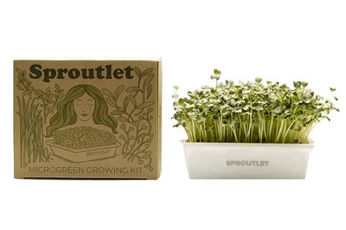 Sproutlet Self-Watering Microgreens Kit (3-Pack)
