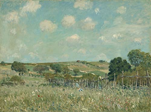 Tableau Prairie d'Alfred Sisley affiche d'art vintage haut de gamme