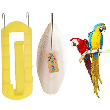 Western Era Natural High Calcium Source Cuttlebone Fish for Birds, Parrot (400grm + Holder) (B08C6Z3DFY) Amazon Price History, Amazon Price Tracker