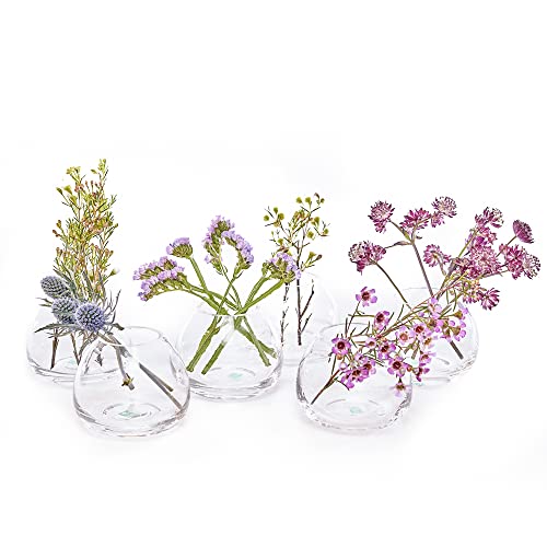 Chive ‘George’ Glass Bottle Flower Vases — Set Of 6 — Small, Elegant Clear Glass Bud Vases — Bulk Pack For Home Decor & Table Centerpieces — Shape 3 (Oval, 3” Tall, 3” Wide) #TOP26