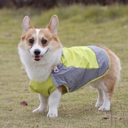ClawsPurrfect Cachorro Impermeável Capa Chuva: Leve Grande Médio Refletor Compactável Poncho Verde 1