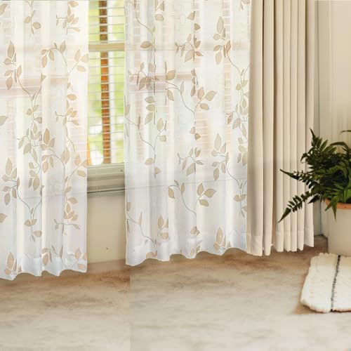 J[eSZbg _ {^jJ  킢 4g  k Ռ 􂦂 n  [t [tc[AC{[ 100x135