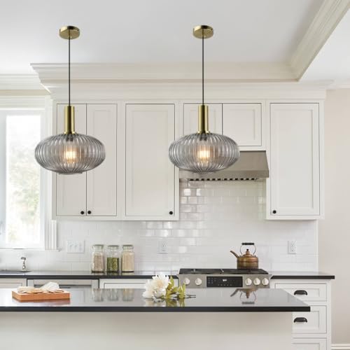 Lampe Suspendue Verre Fumé Hauteur Réglable 120cm Lustre Américain Minimaliste E27