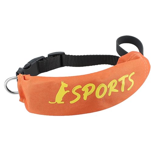 Collares Perros Personalizados Caza Marca Generic