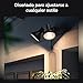 Philips Hue White Outdoor PAR38 13W Smart Bulbs Hub Required, 2 White PAR38 LED Smart Bulbs, Works with Alexa, Apple HomeKit and Google