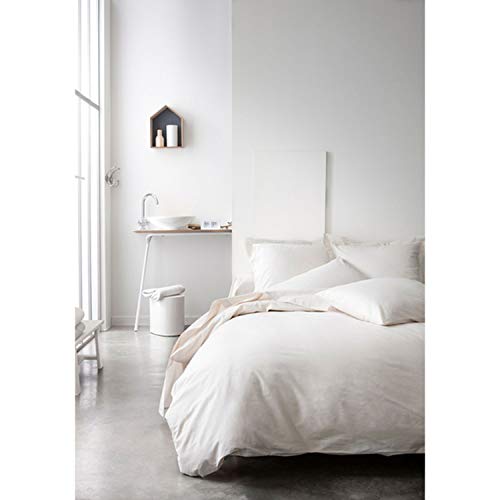 TODAY Federa in Cotone, 100%, Avorio, 50x70 cm