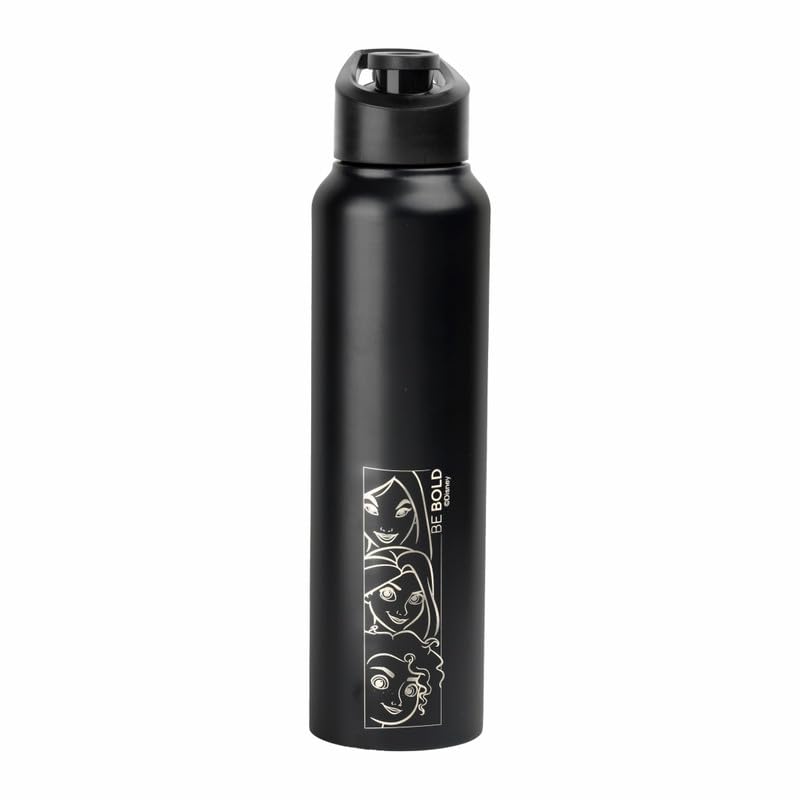 Image of SKI Sprint Stainless Steel Sipper Water Bottle with Laser Print, for School, Office, Gym, Home, Travel | AdultS &Teens | 950 ML, Leakproof, Rust free | Character Merchandise PRINCESS