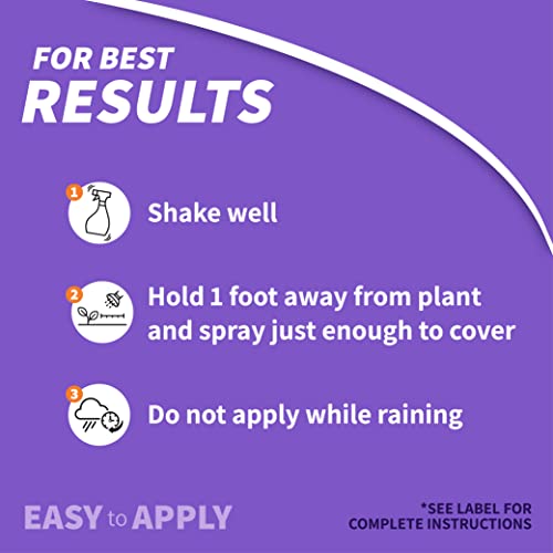 Bonide Eight Insect Control Garden & Home, 32 oz Ready-to-Use Spray - image 4
