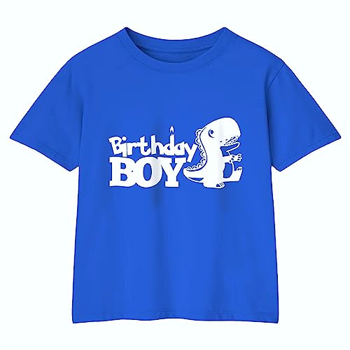 Birthday Boy Dinosaur Shirts 2T to 5T Years Old Cute Toddler Boys Soft Cotton Top Tees