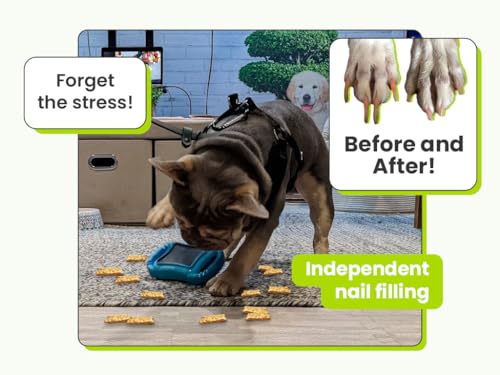 De' Vora Scratch Square Dog Nail Trimmer & File- Avoid Over Clipping- Award Winning, Safe, Easy to use, Home Grooming (Used L/Extra Large)