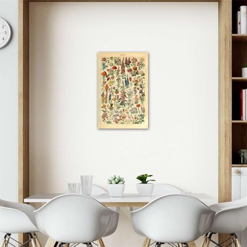Meishe Art Vintage Poster Print Flower Floral Botanical Collections Garden Flowers and Plants Identification Reference Chart Diagram Home Wall Decor - Image 4