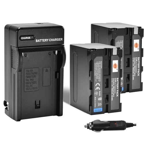 DSTE 2-Pack NP-F970 Battery and Travel and Car Charger Adapter Compatible with Sony DCM-M1 MVC-CD1000 HDR-FX1 DCR-VX2100E DSR-PD190P NEX-FS700RH HXR-NX3 NP-F930 NP-F950 NP-F960