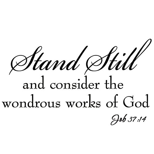 VWAQ Stand Still and Consider the Wondrous Works of God Decal Wall Quotes Bible Faith...