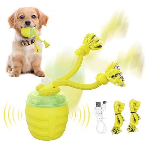 Huimpet Interactive Dog Toys