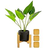 El Paquete Incluye: Nuestro paquete contiene 1 soporte para plantas y 3 bandejas para macetas, que juntas hacen que su espacio sea más animado e interesante, y hacen la vida más interesante.