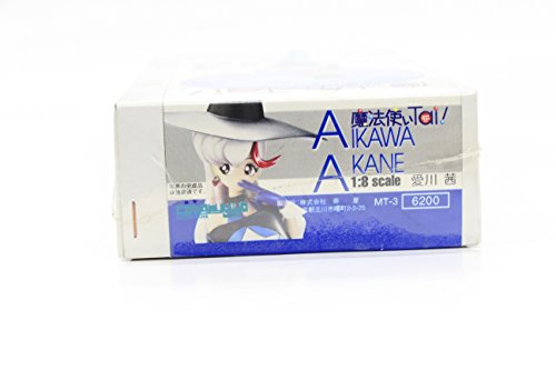 Kit de garage Akane Wizard Tai 1/8 figurine résine à assembler