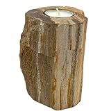 bois petrifie arizona  Bougeoir en bois pétrifié – Grand
