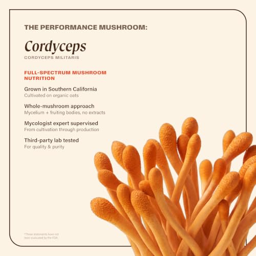 OM Mushroom Superfood Cordyceps Capsules