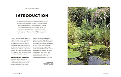 RHS How to Create a Wildlife Pond: Plan, Dig, and Enjoy a Natural Pond in Your Own Back Garden (DK: Royal Horticultural Society (RHS)) - Image 4