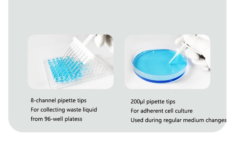 Mini Reciclador Portátil De Residuos Líquidos De Laboratorio, Botella Aspiradora Al Vacío, 1 L, Velocidad De Succión De Líquidos De 1,6 Litros Por Minuto, Para Enseñanza O Investigación Científica.