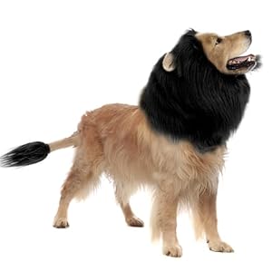New Dog Costume Halloween Dog Costume Lion Mane for Medium and Large Dogs Realistic Lion Wig Dog Costume Supplement Lion Mane for Photoshoot Entertainment (Black) Size S + Tail Set